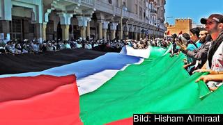 Den palestinska flaggan hålls upp. Arkivbild.