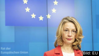 Finlands EU-minister är inte nöjd med den ungerska regeringens svar. Arkivbild.