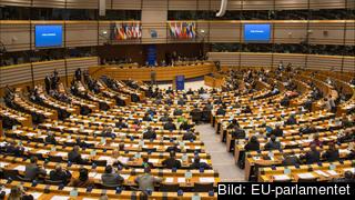 Foto: EU-parlamentet
