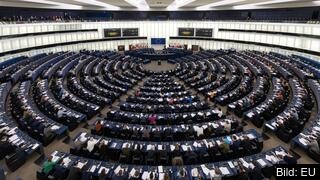 EU-parlamentet kan i nuläget bara uppmana EU-kommissionen att lägga fram lagförslag. Arkivbild. EU-parlamentet kan i nuläget bara uppmana EU-kommissionen att lägga fram lagförslag. Arkivbild.