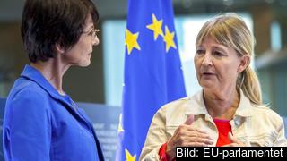 EU:s sysselsättningskommissionär Marianne Thyssen som ansvarar för paketet och EU-parlamentariker Marita Ulvskog i samtal. Arkivbild. EU:s sysselsättningskommissionär Marianne Thyssen som ansvarar för paketet och EU-parlamentariker Marita Ulvskog i samtal. Arkivbild.
