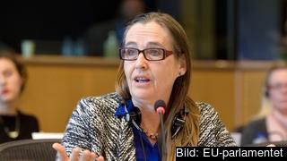Miljöpartiet i EU-parlamentet stödjer inte svenska regeringens linje om PNR. På bilden EU-parlamentariker Bodil Valero (MP). Arkivbild.