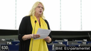Socialdemokraten Anna Hedh tycker det är upprörande att så få EU-parlamentariker visat intresse för pilotkursen i hantering av trakasserier på arbetsplatsen.
