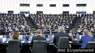 Session i EU-parlamentet i Strasbourg. Arkivbild. Session i EU-parlamentet i Strasbourg. Arkivbild.