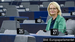 Europaparlamentariker Heléne Fritzon (S) i plenum. Europaparlamentariker Heléne Fritzon (S) i plenum.