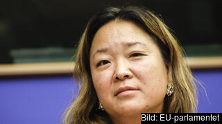EU-parlamentariker Jessica Polfjärd (M). Arkivbild. EU-parlamentariker Jessica Polfjärd (M). Arkivbild.