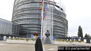 EU-parlamentets sessionsbyggnad i Strasbourg har inte använts av ledamöterna sedan februari 2020. Arkivbild.