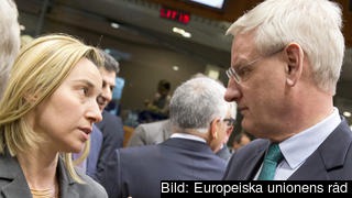 Italiens utrikesminister Federica Mogherini diskuterar med Sveriges utrikesminister Carl Bildt. Arkivbild.