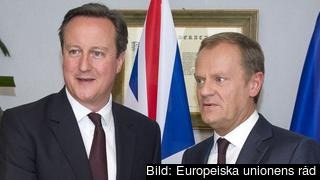 David Cameron och Donald Tusk inför torsdagens toppmöte.