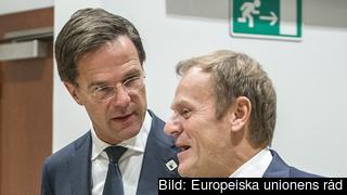 Nederländernas premiärminister Mark Rutte i samspråk med Europeiska rådets ordförande Donald Tusk. Arkivbild. Nederländernas premiärminister Mark Rutte i samspråk med Europeiska rådets ordförande Donald Tusk. Arkivbild.