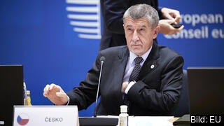 Tjeckiens premiärminister Andrej Babiš. Arkivbild. Tjeckiens premiärminister Andrej Babiš. Arkivbild.