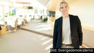Även om vi betraktar EU-förslaget att reglera sociala plattformar som Facebook som positivt kan vi konstatera att det innehåller en rad brister, samt saknar en heltäckande lösning, skriver Jessica Stegrud (SD). Arkivbild.