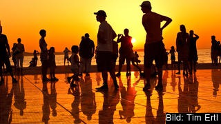 Zadar, Zadarsko-Kninska, Kroatien. Bilden är beskuren. Zadar, Zadarsko-Kninska, Kroatien. Bilden är beskuren.