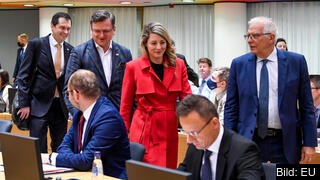 På bilden från måndagens utrikesministermöte syns Ukrainas Dmytro Kuleba (i rutig kavaj), Kanadas Mélanie Joly (i röd rock) och utrikesrepresentant Josep Borrell (längst fram).