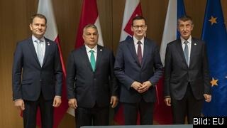 Visegradländernas premiärministrar (från vänster till höger): Slovakiens Igor Matovič, Ungerns Viktor Orbán, Polens Mateusz Morawiecki och Tjeckiens Andrej Babiš. Arkivbild. Visegradländernas premiärministrar (från vänster till höger): Slovakiens Igor Matovič, Ungerns Viktor Orbán, Polens Mateusz Morawiecki och Tjeckiens Andrej Babiš. Arkivbild.