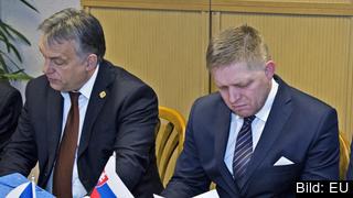 Ungerns premiärminister Viktor Orbán och Slovakiens premiärminister Robert Fico. Arkivbild. Ungerns premiärminister Viktor Orbán och Slovakiens premiärminister Robert Fico. Arkivbild.