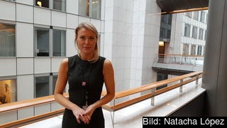 Anni Saga Hirvelä jobbar som sakkunnig för en österrikisk parlamentariker och är drivande bakom MeTooEP som bekämpar trakasserier inom EU-parlamentet. Anni Saga Hirvelä jobbar som sakkunnig för en österrikisk parlamentariker och är drivande bakom MeTooEP som bekämpar trakasserier inom EU-parlamentet.