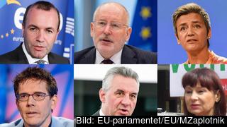 De sex toppkandidaterna. Ovan från vänster: Manfred Weber, Frans Timmermans, Margrethe Vestager. Under från vänster: Bas Eickhout, Jan Zahradil, Violeta Tomič. De sex toppkandidaterna. Ovan från vänster: Manfred Weber, Frans Timmermans, Margrethe Vestager. Under från vänster: Bas Eickhout, Jan Zahradil, Violeta Tomič.