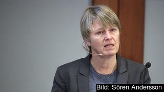 Statssekreterare Irene Wennemo ansvarar för frågor som rör arbetsrätt och arbetsmiljö, arbetslöshetsförsäkringen och internationella frågor. Arkivbild. Statssekreterare Irene Wennemo ansvarar för frågor som rör arbetsrätt och arbetsmiljö, arbetslöshetsförsäkringen och internationella frågor. Arkivbild.