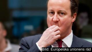 David Cameron driver en hård linje mot Bryssel men allt fler studier pekar på att landet har det bättre i EU än utanför. Arkivbild. David Cameron driver en hård linje mot Bryssel men allt fler studier pekar på att landet har det bättre i EU än utanför. Arkivbild.