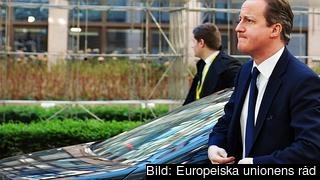 Den brittiske premiärministern David Cameron försöker övertyga sina europeiska kollegor om att avfärda Juncker. Arkivbild. Den brittiske premiärministern David Cameron försöker övertyga sina europeiska kollegor om att avfärda Juncker. Arkivbild.