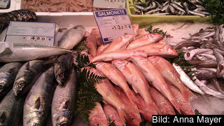 Det råder delade meningar om fiskebåtar från EU-länder ska fortsätta fiska i främmande vatten.