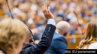 EU-parlamentet gav idag grönt ljus till att inleda förhandlingar med EU-ländernas regeringar om slutliga klimatlagar. EU-parlamentet gav idag grönt ljus till att inleda förhandlingar med EU-ländernas regeringar om slutliga klimatlagar.