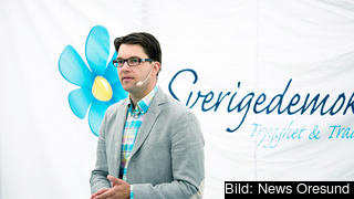 Sverigedemokraterna vill omförhandla det svenska EU-medlemskapet och sedan låta en folkomröstning ta ställning. Det framgår av partiets nya EU-valplattform som antas på lördag. Arkivbild. Sverigedemokraterna vill omförhandla det svenska EU-medlemskapet och sedan låta en folkomröstning ta ställning. Det framgår av partiets nya EU-valplattform som antas på lördag. Arkivbild.