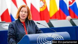 Malin Björk (V) var en av de EU-parlamentariker som på tisdagen krävde att kraven skärps på Ungern att leva upp till rättsstatens principer. 