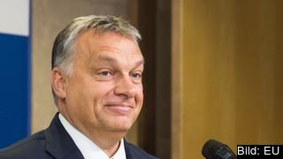 Ungerns premiärminister för tredje valet på rad Viktor Orbán. Arkivbild. Ungerns premiärminister för tredje valet på rad Viktor Orbán. Arkivbild.