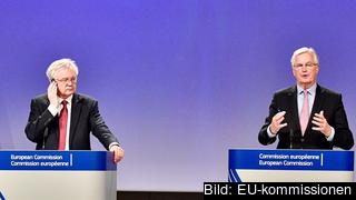 Storbritanniens brexitminister David Davis och EU:s chefsförhandlare Michel Barnier efter måndagens förhandlingar. Storbritanniens brexitminister David Davis och EU:s chefsförhandlare Michel Barnier efter måndagens förhandlingar.