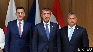 Polens, Tjeckiens och Ungerns premiärministrar nationalkonservative Mateusz Morawiecki, liberale Andrej Babiš och nationalkonservative Viktor Orbán. Arkivbild.