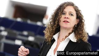 Nederländska liberalen Sophie in 't Veld sitter i EU-parlamentets granskningskommitté med uppdrag att utreda användning av övervakningssystem i EU. 
