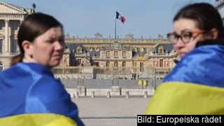 Aktivister till stöd för Ukraina framför palatset i franska Versailles där EU:s ledare träffas för toppmöte 10-11 mars 2022. Aktivister till stöd för Ukraina framför palatset i franska Versailles där EU:s ledare träffas för toppmöte 10-11 mars 2022.