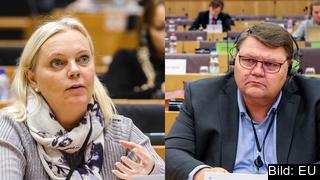 Sverigedemokraternas ledamöter, Kristina Winberg och Peter Lundgren, är enligt sju parametrar som Europaportalen granskat de minst aktiva i EU-parlamentet.